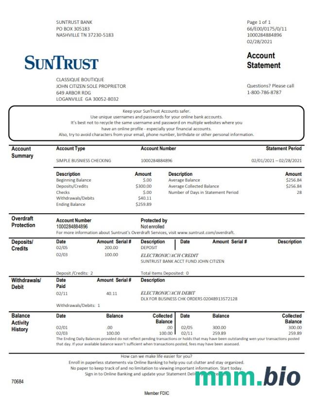 Szablon wyciągu bankowego USA Georgia SunTrust w formacie Excel i PDF